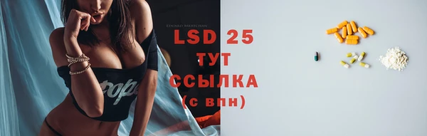 винт Горняк